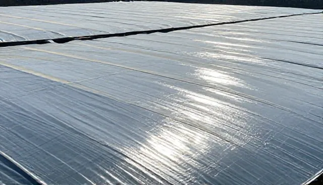 网站建设中域名选择与服务器配置的常见问题及解决方案